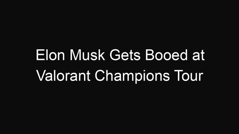 Elon Musk Gets Booed at Valorant Champions Tour